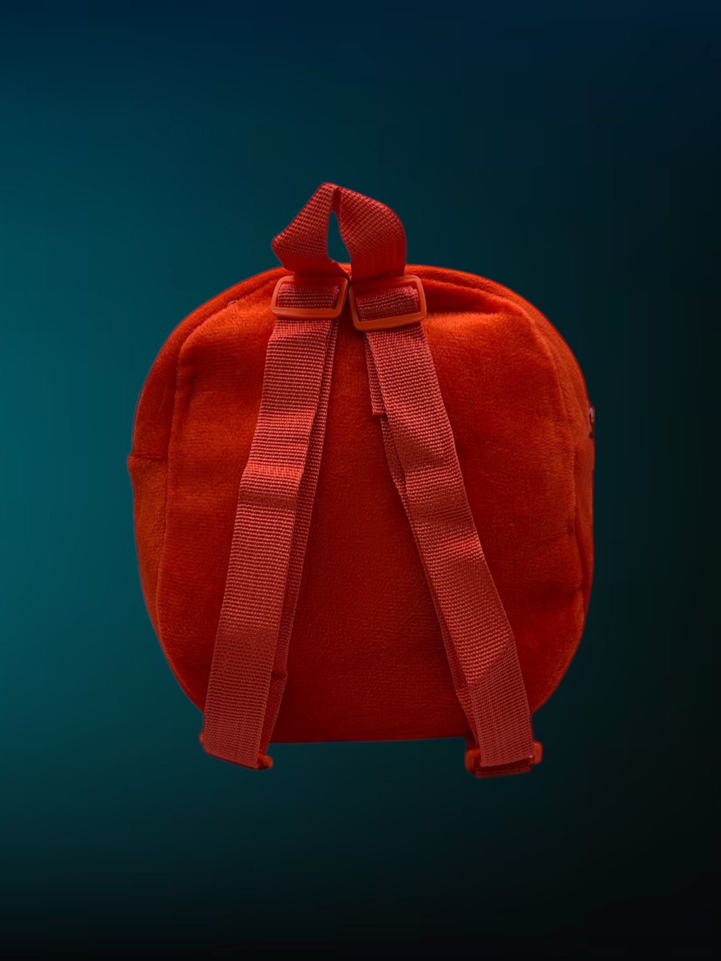 Mini Backpacks