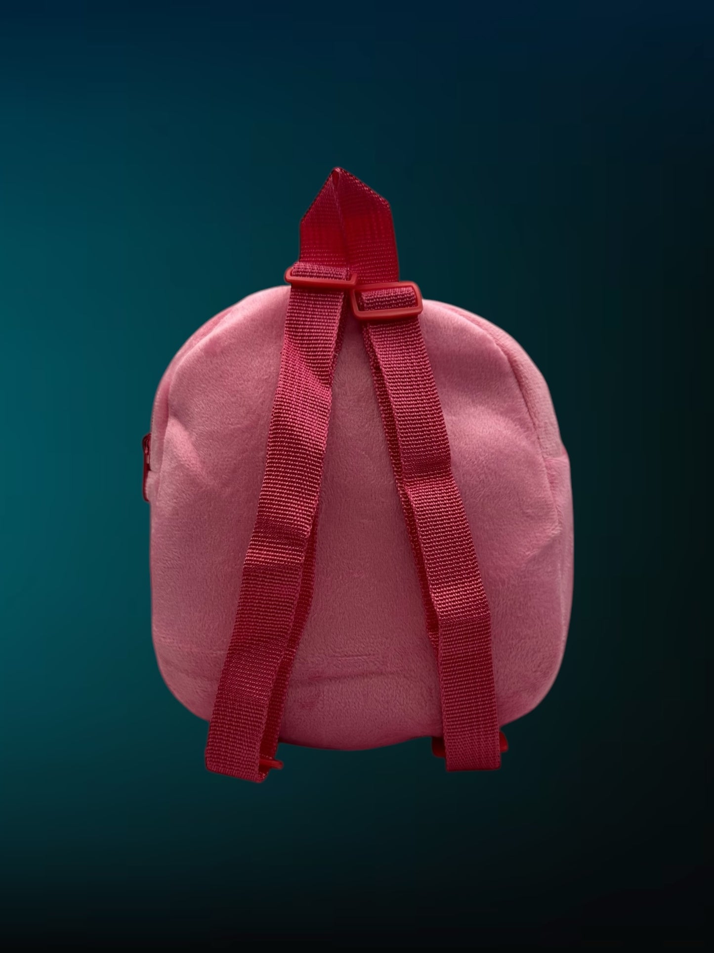 Mini Backpacks