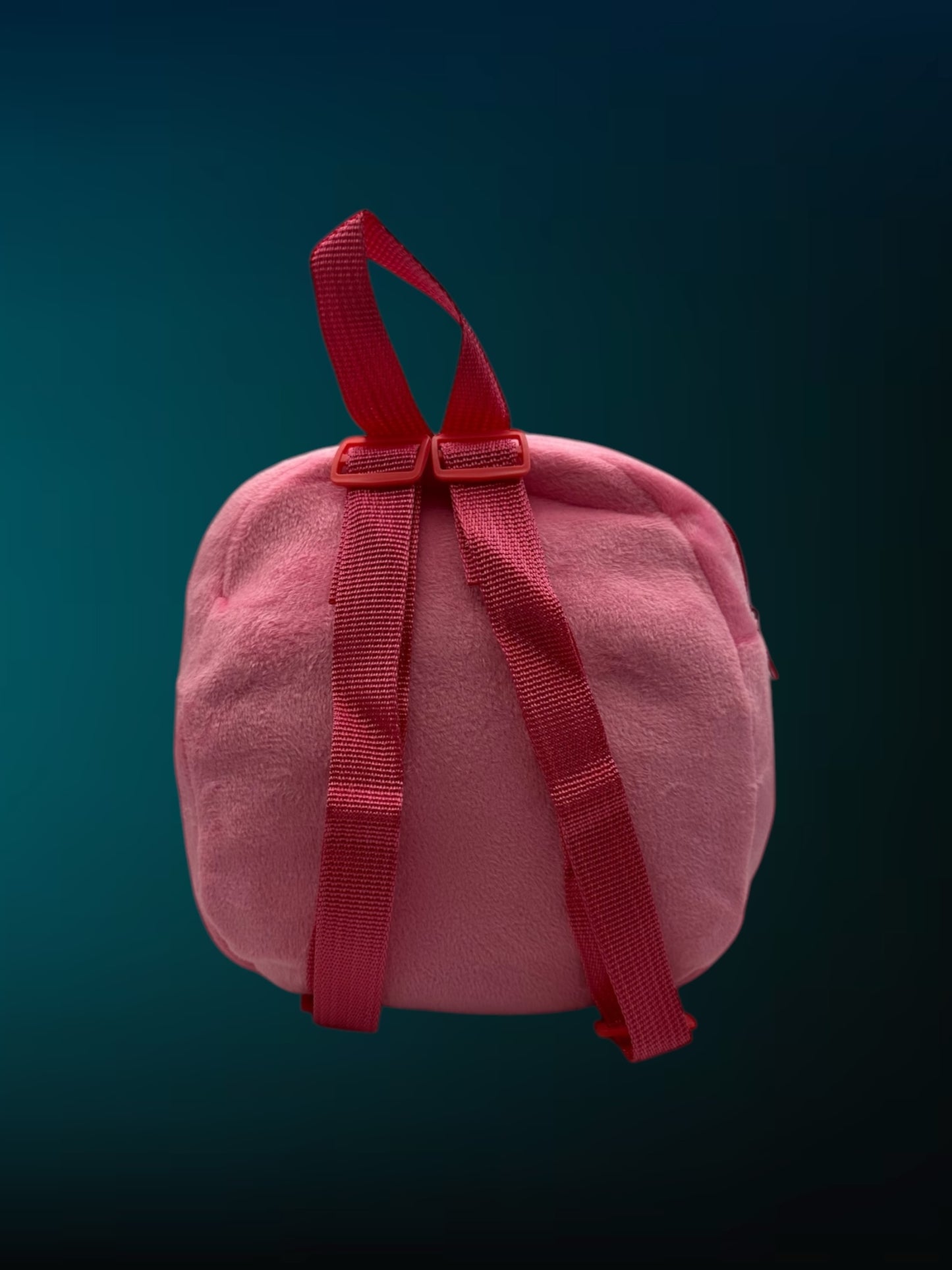 Mini Backpacks